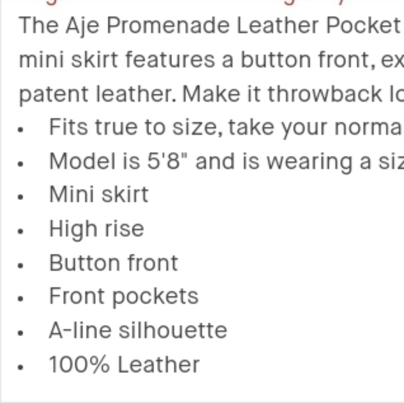 - AJE , Australia Leather 70's Inspired Leather Pocket Skirt NWT Sz 10 - Picture 9 of 14